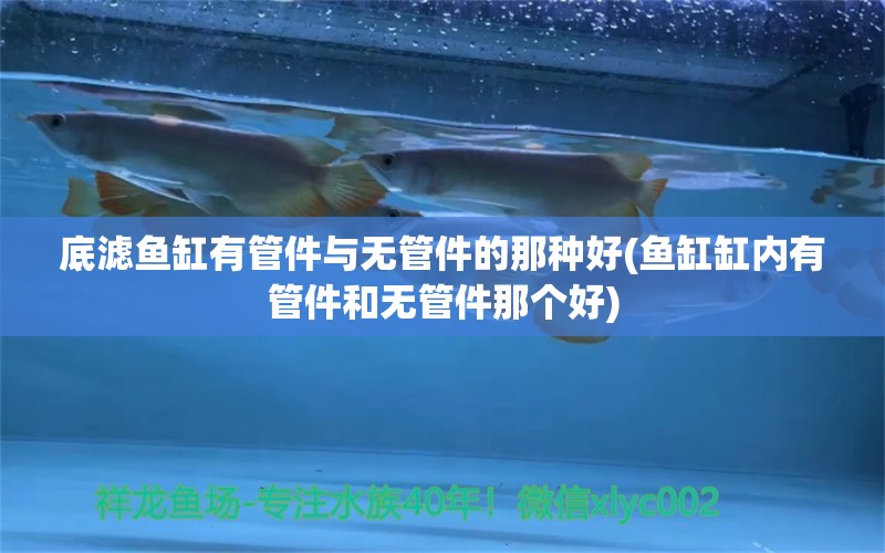 底滤鱼缸有管件与无管件的那种好(鱼缸缸内有管件和无管件那个好) 申古银版鱼