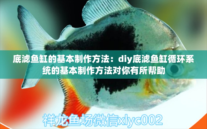 底滤鱼缸的基本制作方法：diy底滤鱼缸循环系统的基本制作方法对你有所帮助 鱼缸百科 第2张