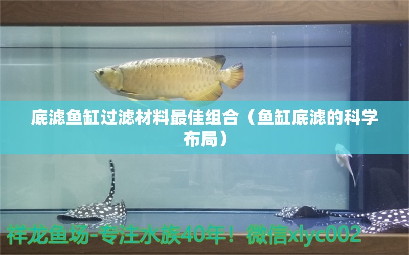 底滤鱼缸过滤材料最佳组合（鱼缸底滤的科学布局）