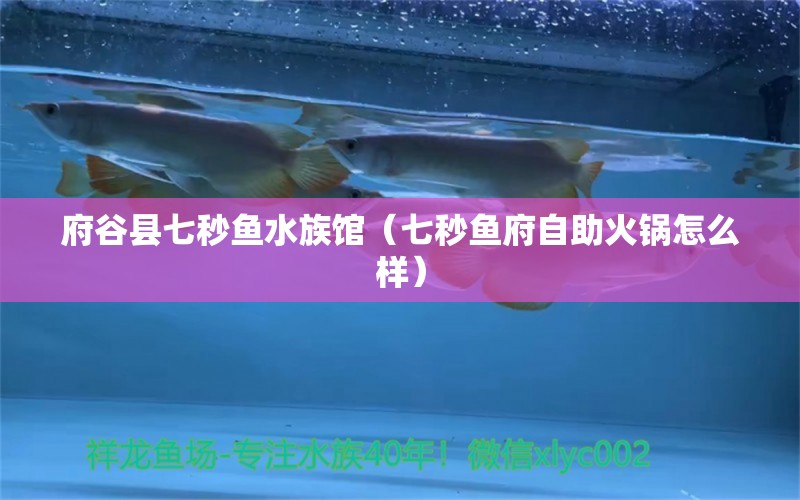 府谷县七秒鱼水族馆（七秒鱼府自助火锅怎么样）