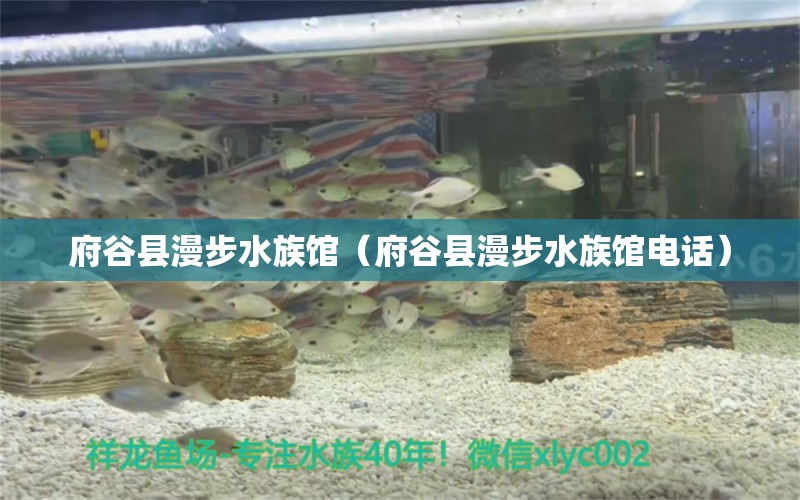 府谷县漫步水族馆（府谷县漫步水族馆电话）