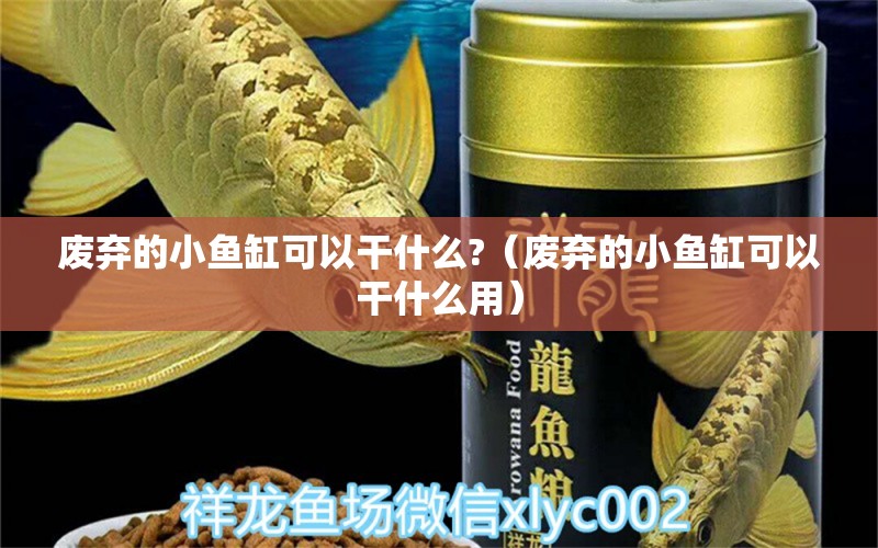 废弃的小鱼缸可以干什么?（废弃的小鱼缸可以干什么用） 祥龙水族医院