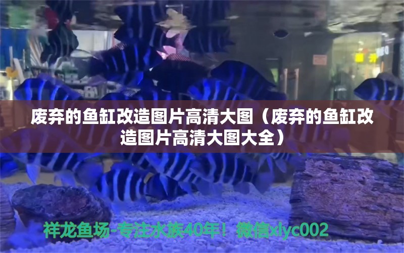 废弃的鱼缸改造图片高清大图（废弃的鱼缸改造图片高清大图大全）