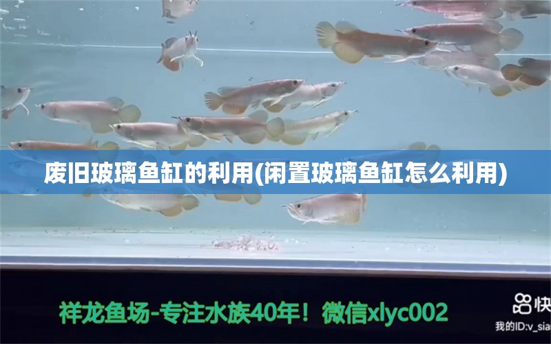 废旧玻璃鱼缸的利用(闲置玻璃鱼缸怎么利用) 祥龙水族护理水