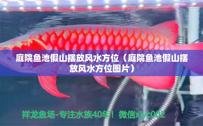 庭院鱼池假山摆放风水方位（庭院鱼池假山摆放风水方位图片）