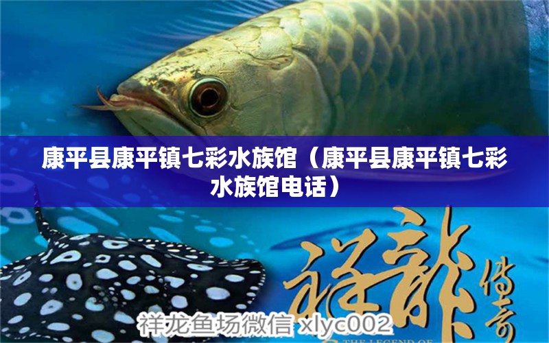 康平县康平镇七彩水族馆（康平县康平镇七彩水族馆电话）