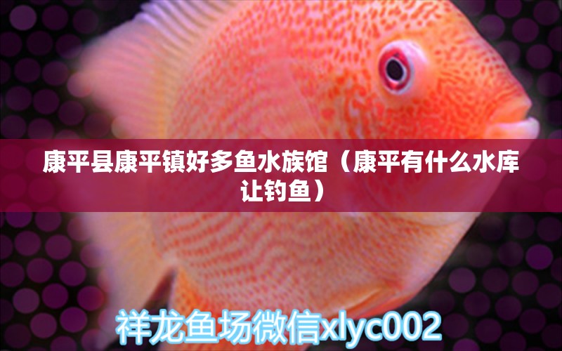 康平县康平镇好多鱼水族馆（康平有什么水库让钓鱼）