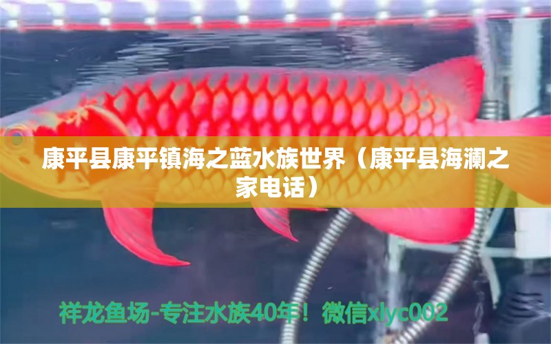 康平县康平镇海之蓝水族世界（康平县海澜之家电话）