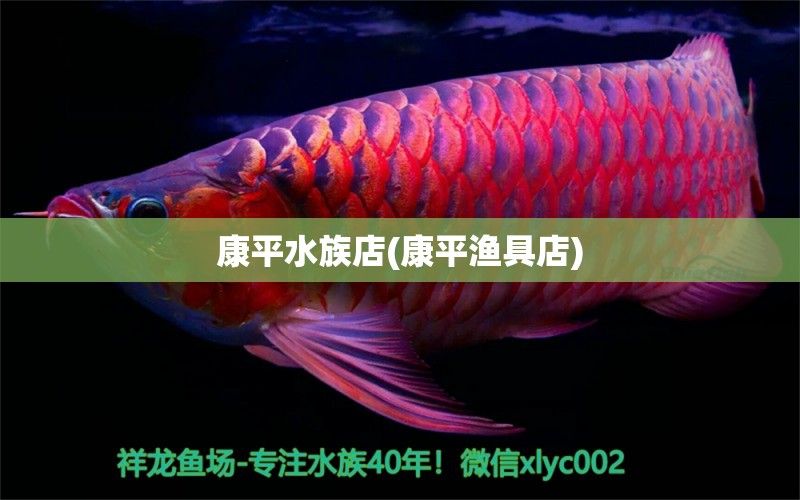 康平水族店(康平渔具店) 定时器/自控系统 第1张