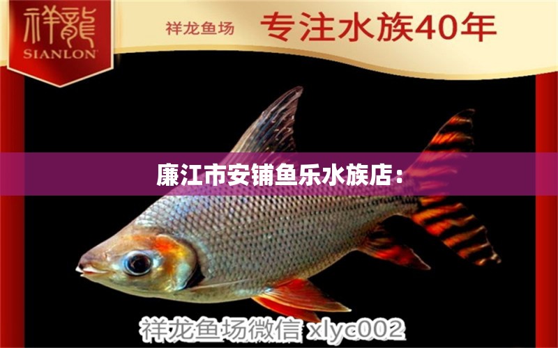 廉江市安铺鱼乐水族店：