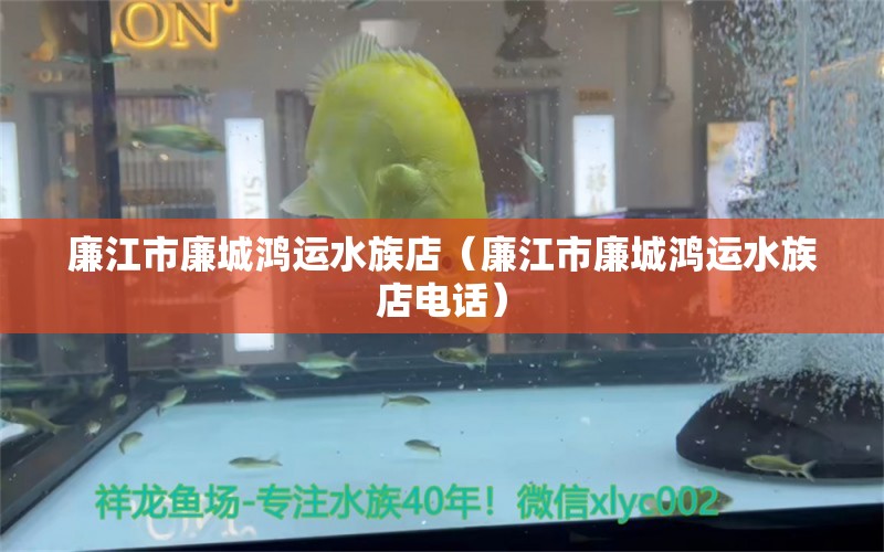 廉江市廉城鸿运水族店（廉江市廉城鸿运水族店电话）