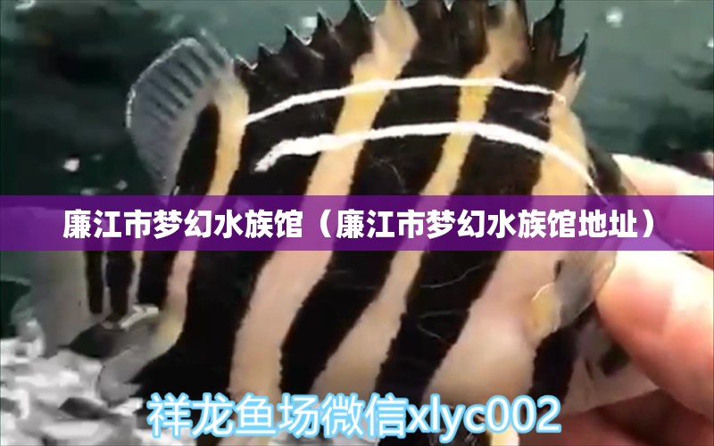 廉江市梦幻水族馆（廉江市梦幻水族馆地址） 全国水族馆企业名录