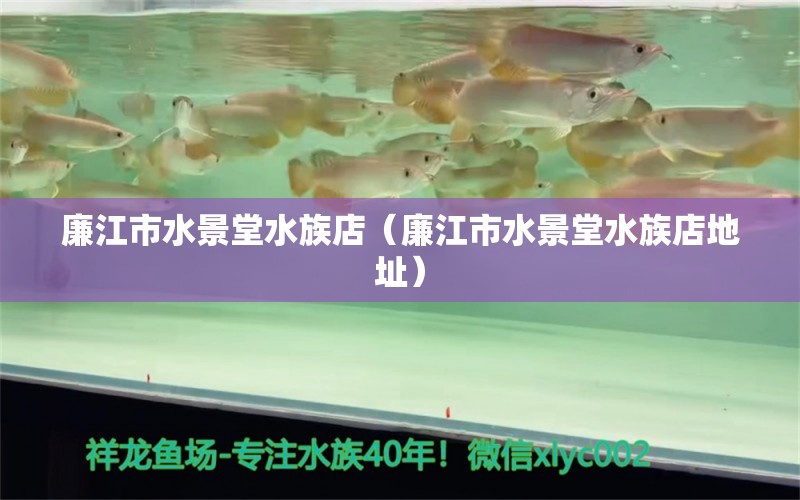 廉江市水景堂水族店（廉江市水景堂水族店地址）