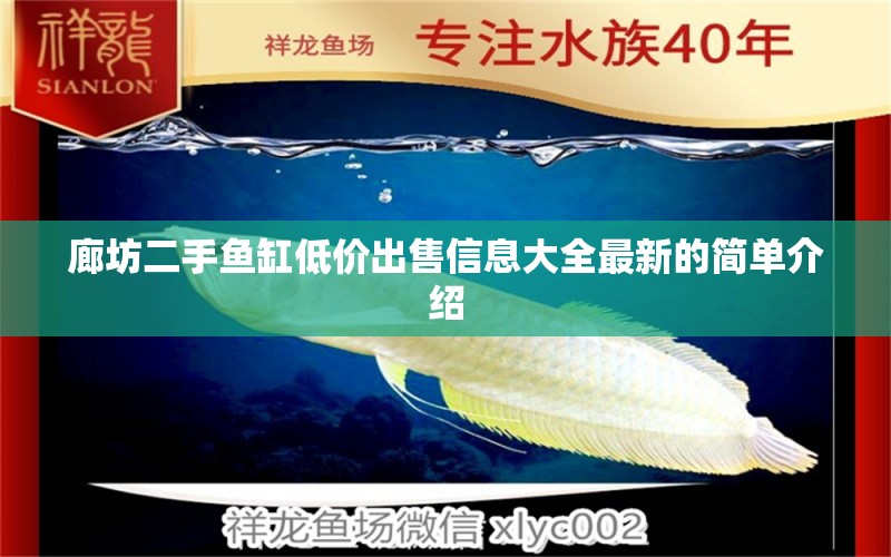 廊坊二手鱼缸低价出售信息大全最新的简单介绍 黄金斑马鱼 第1张