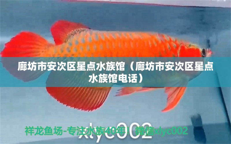 廊坊市安次区星点水族馆（廊坊市安次区星点水族馆电话）