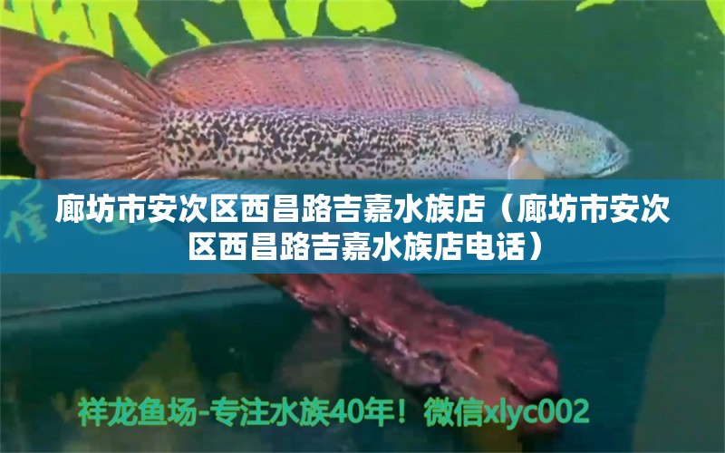 廊坊市安次区西昌路吉嘉水族店（廊坊市安次区西昌路吉嘉水族店电话）