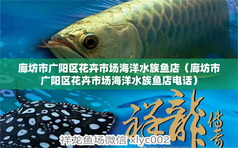 廊坊市广阳区花卉市场海洋水族鱼店（廊坊市广阳区花卉市场海洋水族鱼店电话） 全国水族馆企业名录