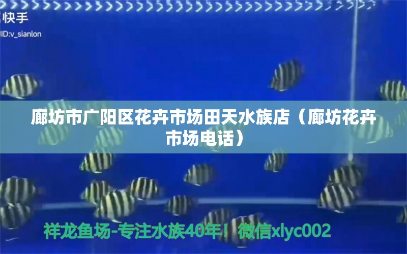 廊坊市广阳区花卉市场田天水族店（廊坊花卉市场电话） 全国水族馆企业名录