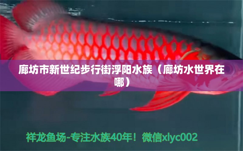 廊坊市新世纪步行街浮阳水族（廊坊水世界在哪） 全国水族馆企业名录