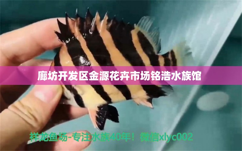 廊坊开发区金源花卉市场铭浩水族馆 