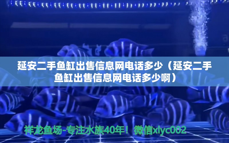 延安二手鱼缸出售信息网电话多少（延安二手鱼缸出售信息网电话多少啊）