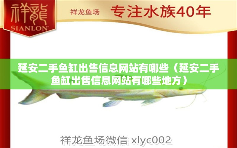 延安二手鱼缸出售信息网站有哪些（延安二手鱼缸出售信息网站有哪些地方）