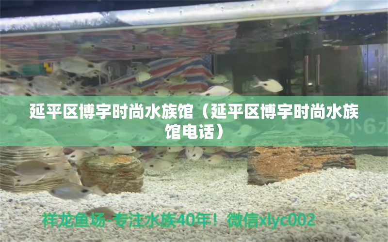 延平区博宇时尚水族馆（延平区博宇时尚水族馆电话）