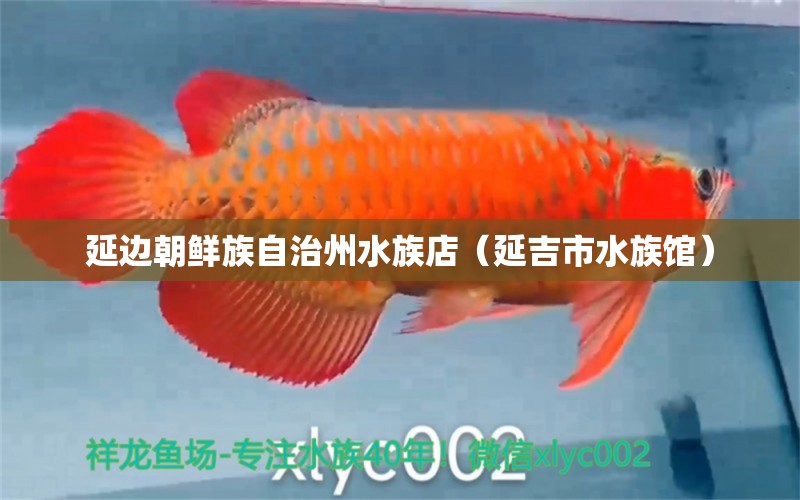 延边朝鲜族自治州水族店（延吉市水族馆）