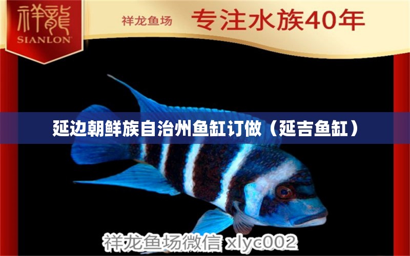 延边朝鲜族自治州鱼缸订做（延吉鱼缸） 祥龙水族医院