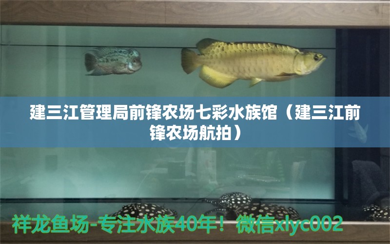 建三江管理局前锋农场七彩水族馆（建三江前锋农场航拍） 全国水族馆企业名录