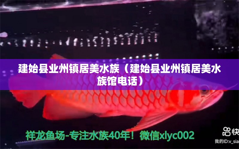 建始县业州镇居美水族（建始县业州镇居美水族馆电话） 全国水族馆企业名录