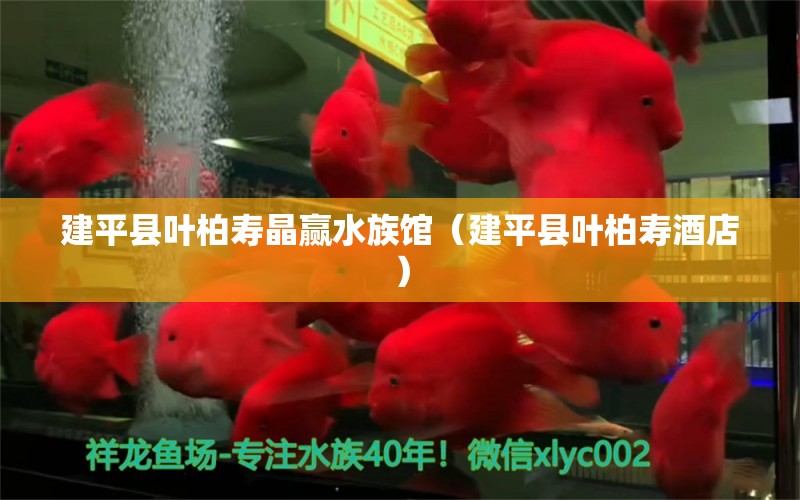 建平县叶柏寿晶赢水族馆（建平县叶柏寿酒店）