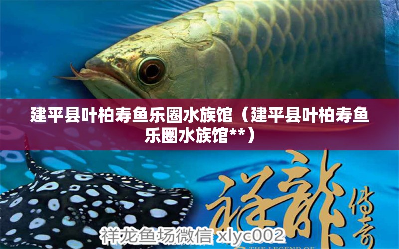 建平县叶柏寿鱼乐圈水族馆（建平县叶柏寿鱼乐圈水族馆**）