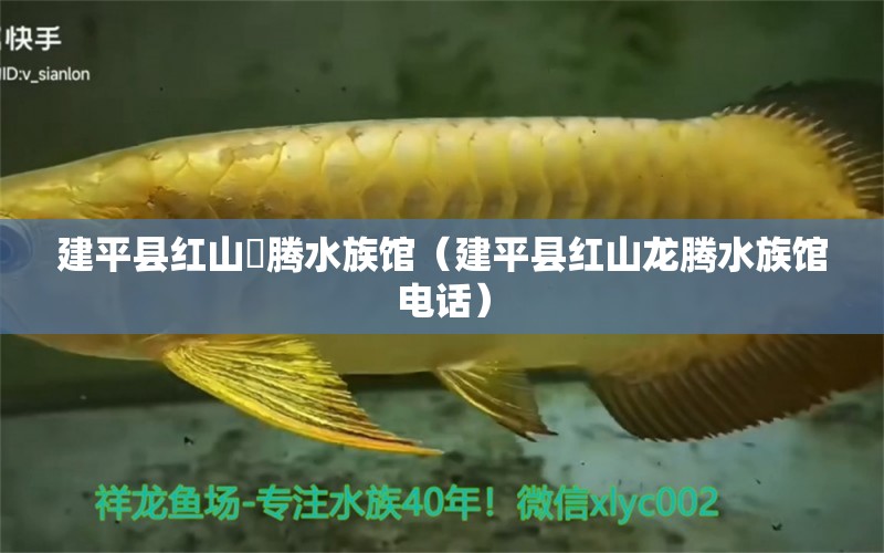 建平县红山龍腾水族馆（建平县红山龙腾水族馆电话） 全国水族馆企业名录