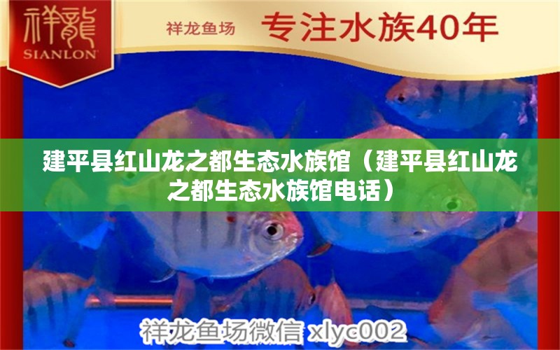 建平县红山龙之都生态水族馆（建平县红山龙之都生态水族馆电话） 全国水族馆企业名录