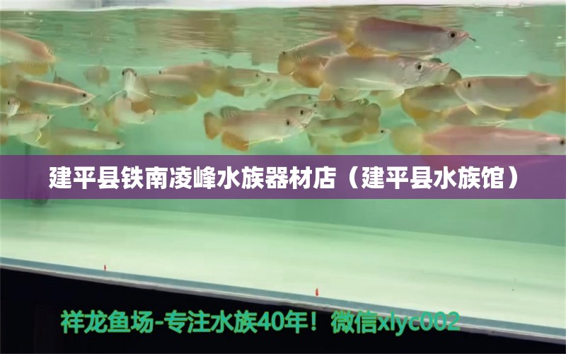 建平县铁南凌峰水族器材店（建平县水族馆）