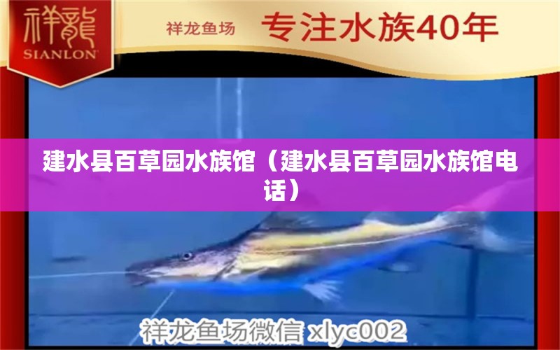 建水县百草园水族馆（建水县百草园水族馆电话）