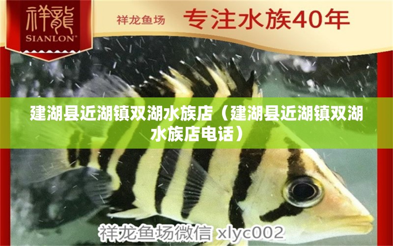 建湖县近湖镇双湖水族店（建湖县近湖镇双湖水族店电话） 全国水族馆企业名录