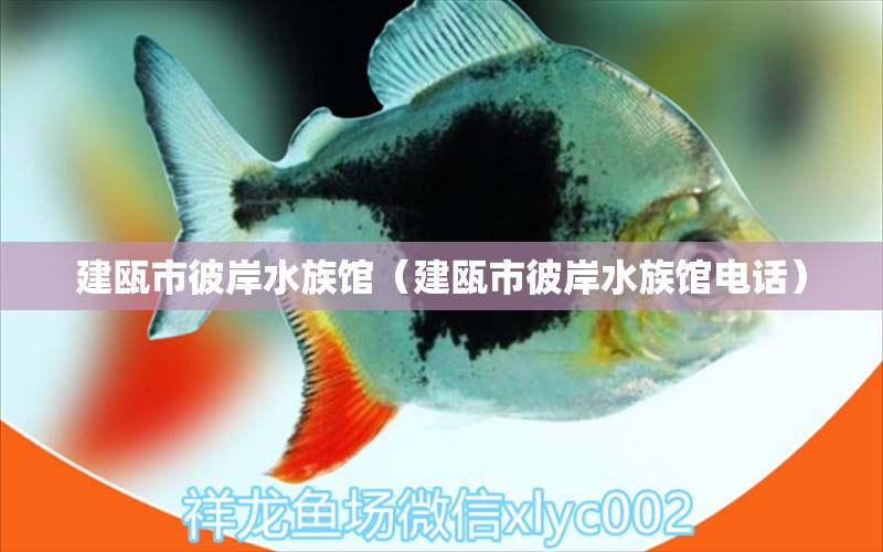 建瓯市彼岸水族馆（建瓯市彼岸水族馆电话）