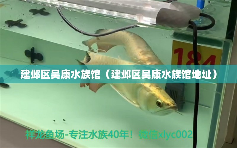 建邺区吴康水族馆（建邺区吴康水族馆地址） 全国水族馆企业名录