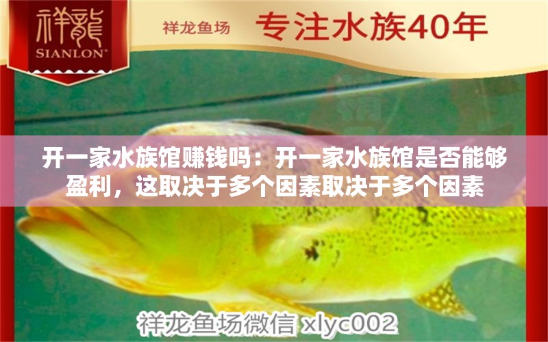 开一家水族馆赚钱吗：开一家水族馆是否能够盈利，这取决于多个因素取决于多个因素 水族馆百科（水族馆加盟） 第1张