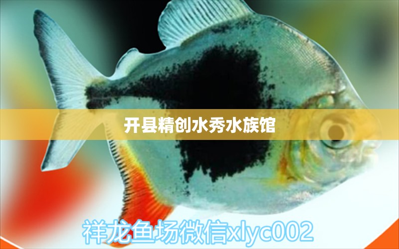 开县精创水秀水族馆