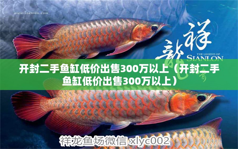 开封二手鱼缸低价出售300万以上（开封二手鱼缸低价出售300万以上） 白玉红龙鱼