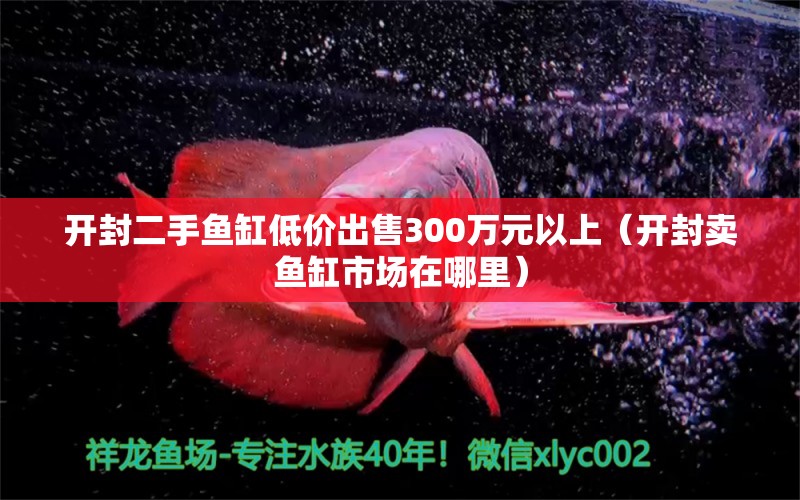 开封二手鱼缸低价出售300万元以上（开封卖鱼缸市场在哪里）