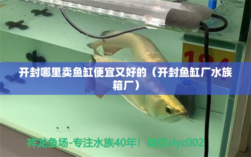 开封哪里卖鱼缸便宜又好的（开封鱼缸厂水族箱厂）