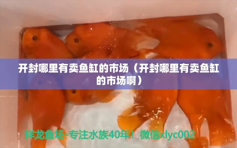 开封哪里有卖鱼缸的市场（开封哪里有卖鱼缸的市场啊） 其他品牌鱼缸