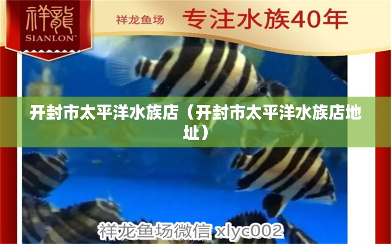 开封市太平洋水族店（开封市太平洋水族店地址） 全国水族馆企业名录