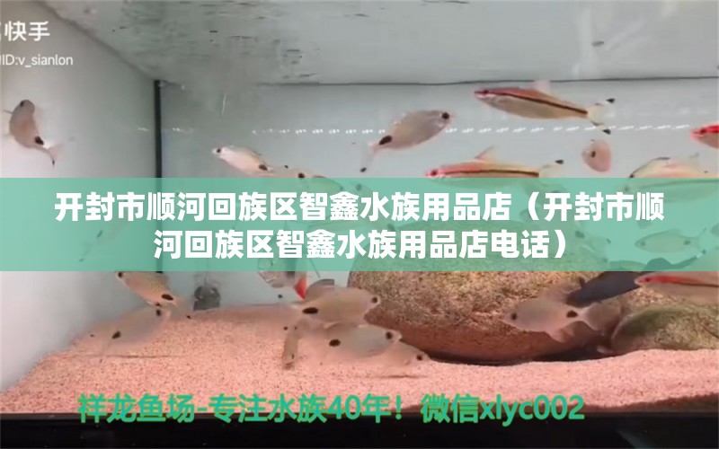 开封市顺河回族区智鑫水族用品店（开封市顺河回族区智鑫水族用品店电话）