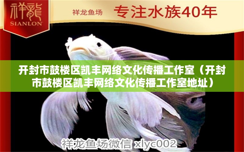 开封市鼓楼区凯丰网络文化传播工作室（开封市鼓楼区凯丰网络文化传播工作室地址） 全国水族馆企业名录