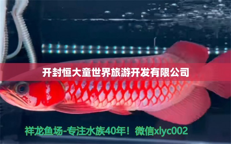 开封恒大童世界旅游开发有限公司 全国水族馆企业名录